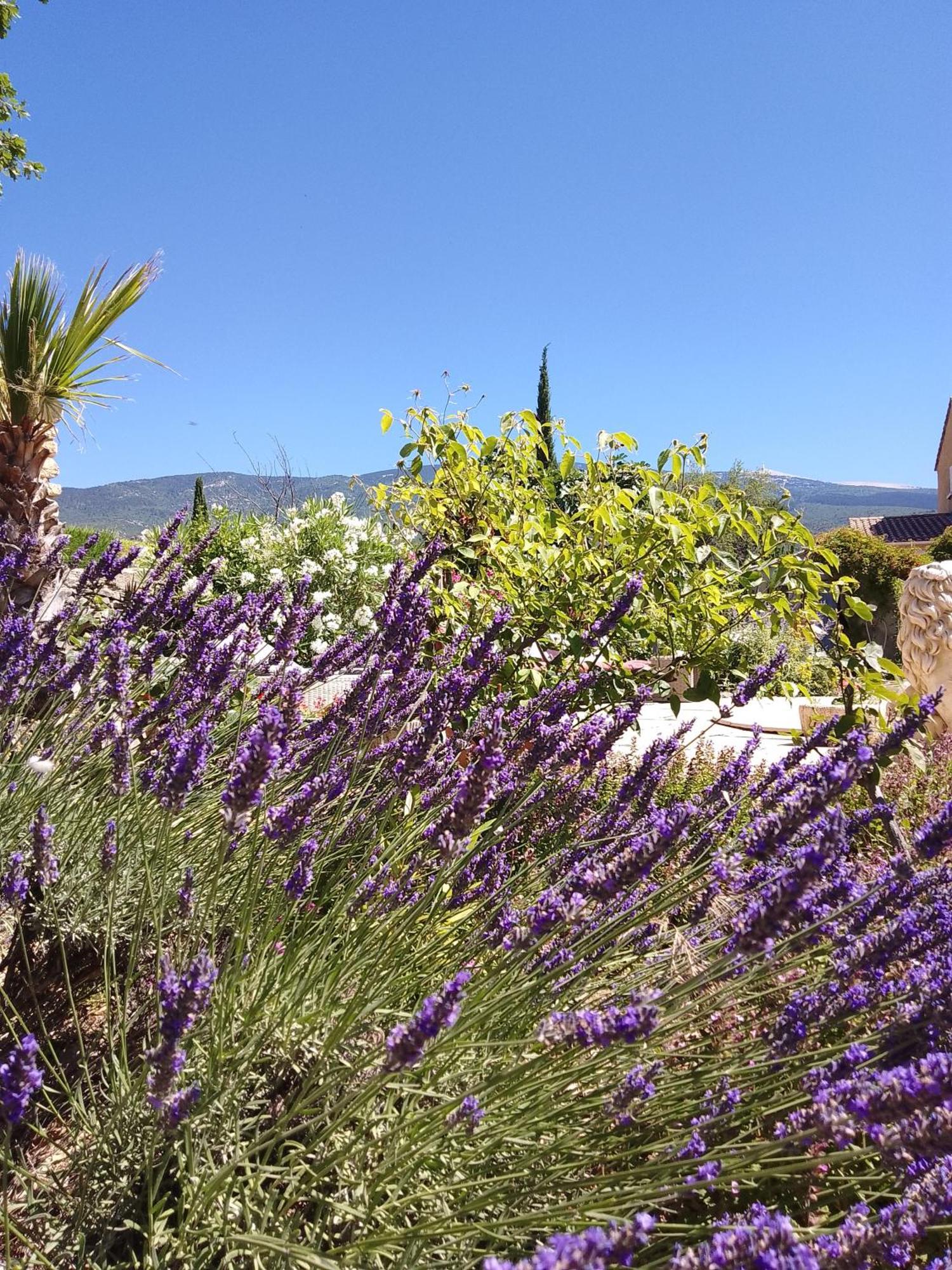 Les Gites Du Mont Ventoux Bedoin Luaran gambar